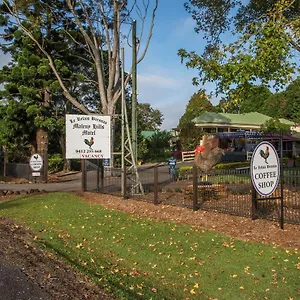 Hills , Maleny Australia